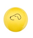 Waboba Fetch Dog Ball