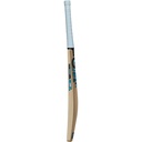 GM Diamond 202 Kashmir Willow Cricket Bat