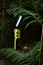 Six Peaks Multi-function LED Work Light