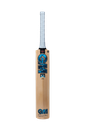 GM Diamond 202 Kashmir Willow Cricket Bat