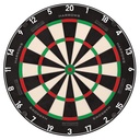 Harrows Fortis Dartboard